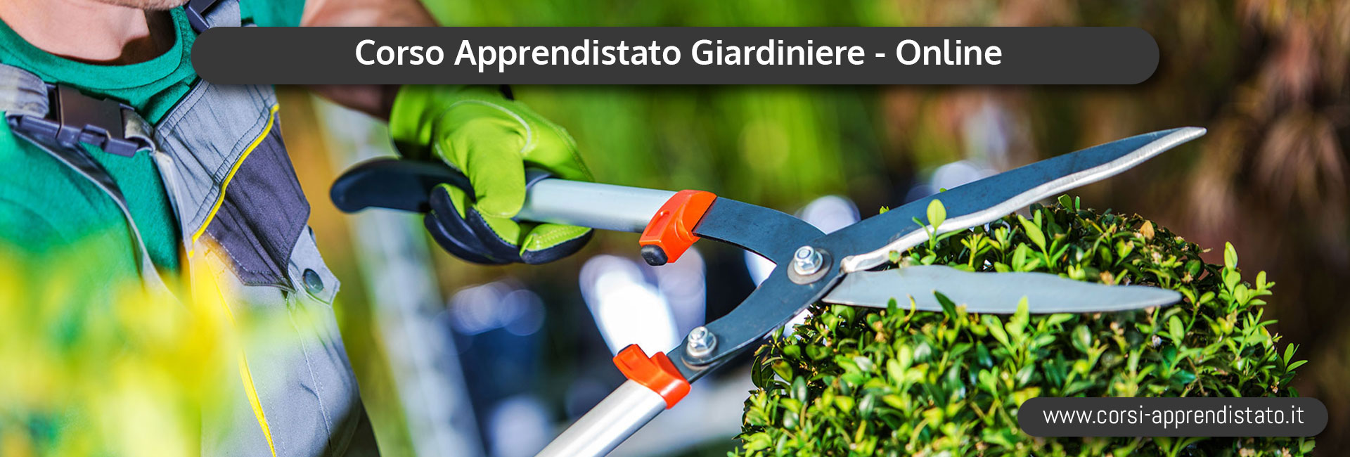 Corso di Apprendistato Giardiniere